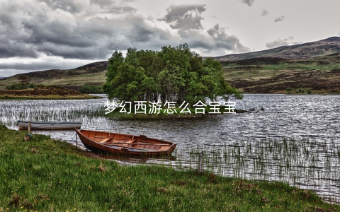 梦幻西游怎么合宝宝