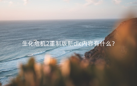 生化危机2重制版新dlc内容有什么？