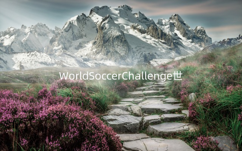 WorldSoccerChallenge世界杯测试版安卓版