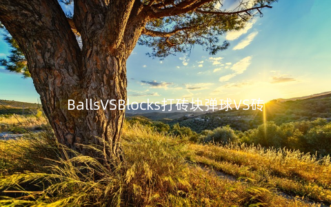 BallsVSBlocks打砖块弹球VS砖块v1.0.1安卓版