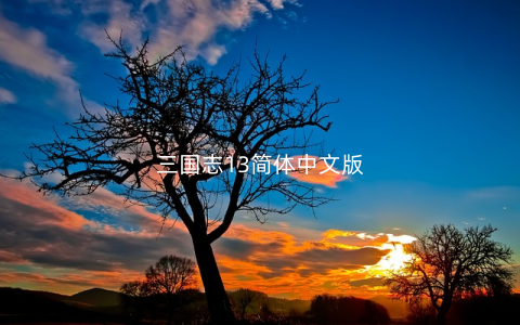 三国志13简体中文版