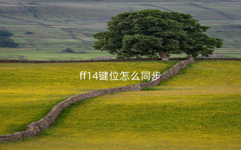 ff14键位怎么同步