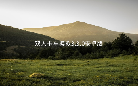 双人卡车模拟3.3.0安卓版