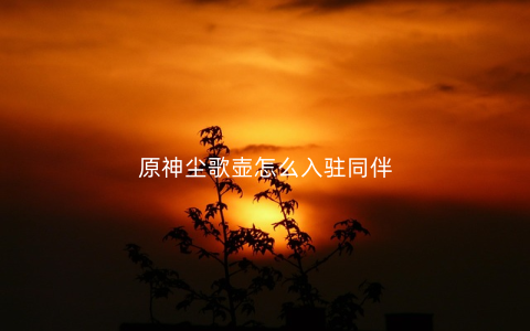 原神尘歌壶怎么入驻同伴