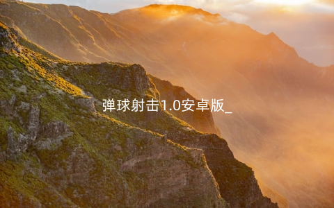 弹球射击1.0安卓版_