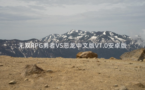 无双RPG勇者VS恶龙中文版V1.0安卓版