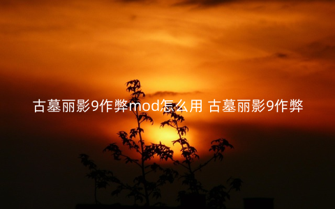 古墓丽影9作弊mod怎么用 古墓丽影9作弊mod使用教程