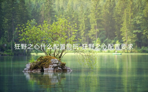狂野之心什么配置能玩-狂野之心配置要求