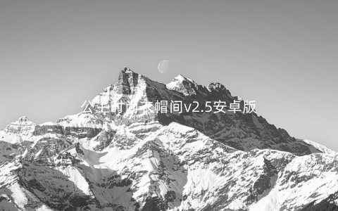 公主时尚衣帽间v2.5安卓版