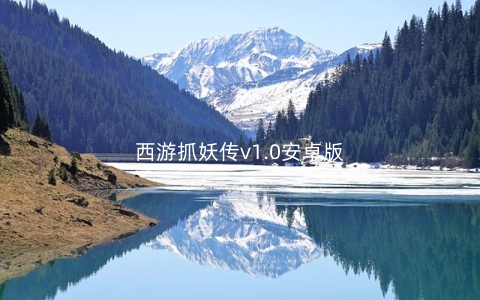 西游抓妖传v1.0安卓版