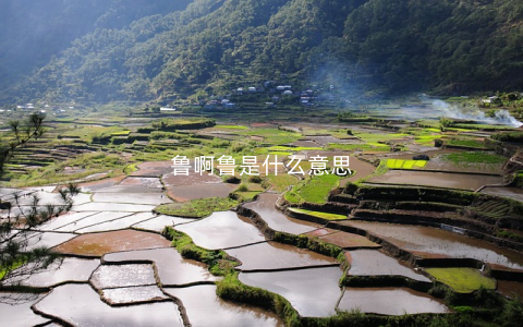 鲁啊鲁是什么意思