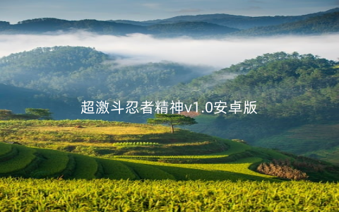 超激斗忍者精神v1.0安卓版