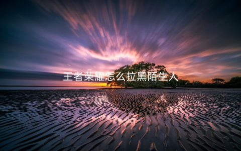 王者荣耀怎么拉黑陌生人