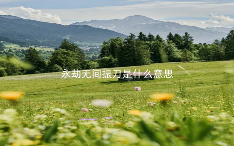 永劫无间振刀是什么意思