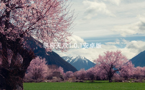 萌将无双1.0.1安卓版