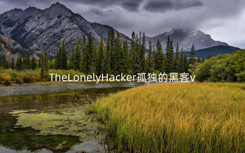 TheLonelyHacker孤独的黑客v1.0.0免谷歌_