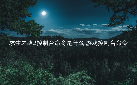 求生之路2控制台命令是什么 游戏控制台命令大全