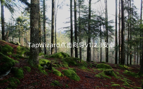 TapWizard点击向导v1.2.3安卓版_