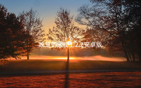 眺望的天空1.2.2安卓版