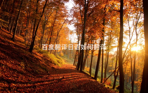 百度翻译日语如何翻译
