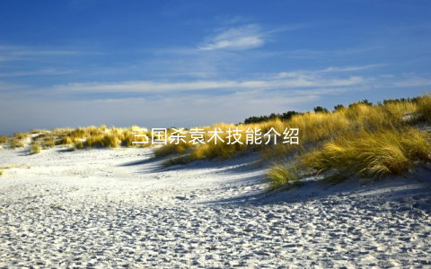 三国杀袁术技能介绍