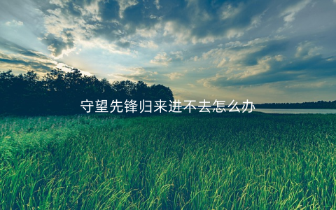 守望先锋归来进不去怎么办