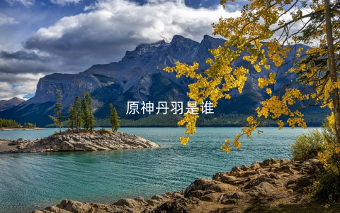 原神丹羽是谁