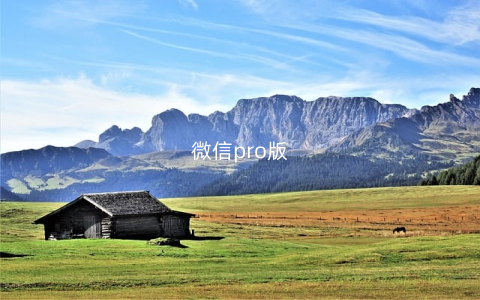 微信pro版
