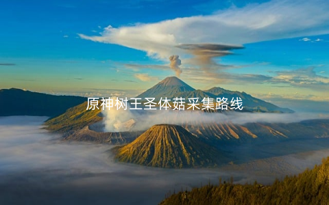 原神树王圣体菇采集路线