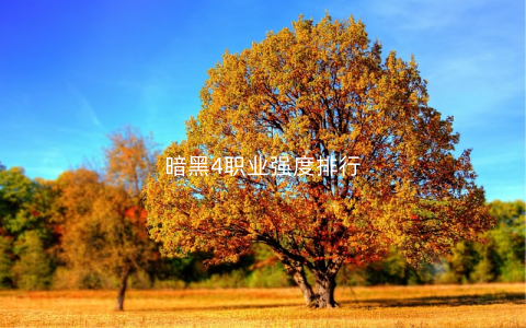 暗黑4职业强度排行