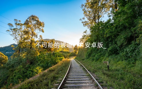 不可能的坡道v1.1安卓版_