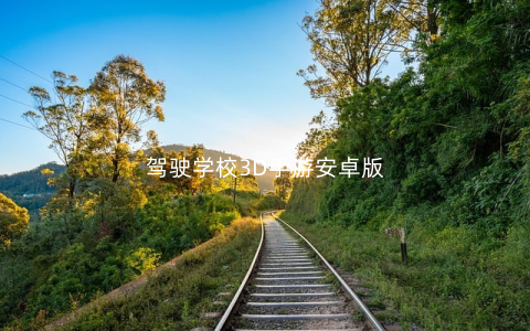 驾驶学校3D手游安卓版