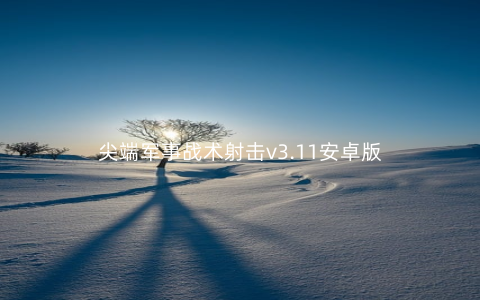 尖端军事战术射击v3.11安卓版