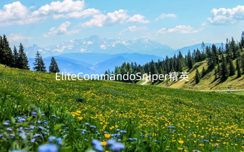 EliteCommandoSniper精英突击队狙击手射手1.1安卓版