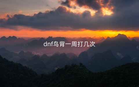 dnf鸟背一周打几次