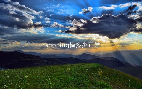 csgoping值多少正常