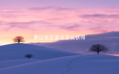 泰拉瑞亚雷达怎么获得