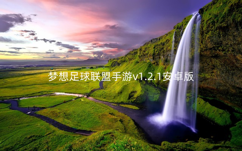 梦想足球联盟手游v1.2.1安卓版