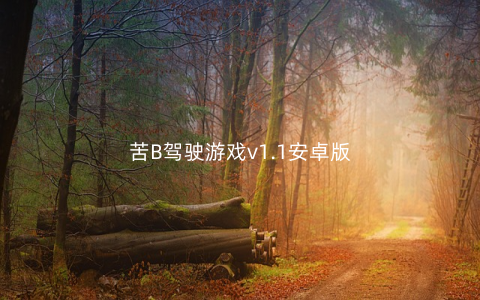 苦B驾驶游戏v1.1安卓版