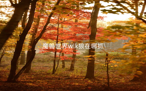 魔兽世界wlk狼在哪抓