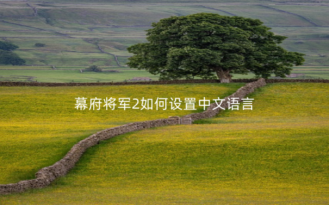 幕府将军2如何设置中文语言