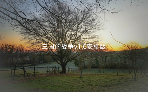 三国的战争v1.0安卓版