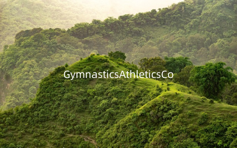 GymnasticsAthleticsContest竞技体操比赛v1.2.1安卓版
