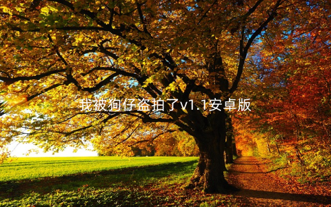 我被狗仔盗拍了v1.1安卓版