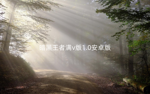 暗黑王者满v版1.0安卓版