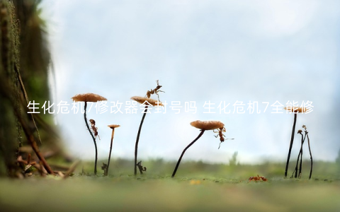 生化危机7修改器会封号吗 生化危机7全能修改器推荐