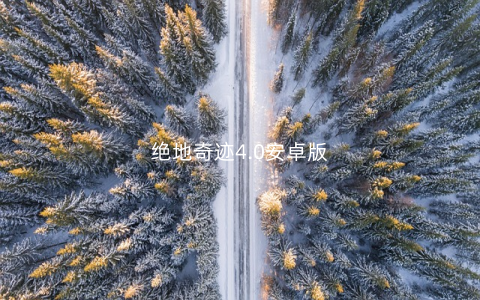 绝地奇迹4.0安卓版