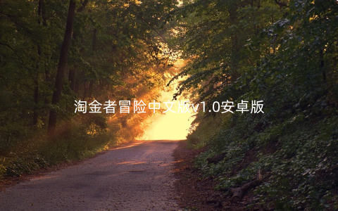 淘金者冒险中文版v1.0安卓版