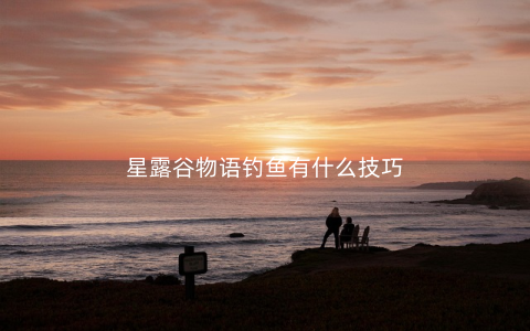 星露谷物语钓鱼有什么技巧
