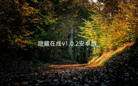 隐藏在线v1.0.2安卓版_